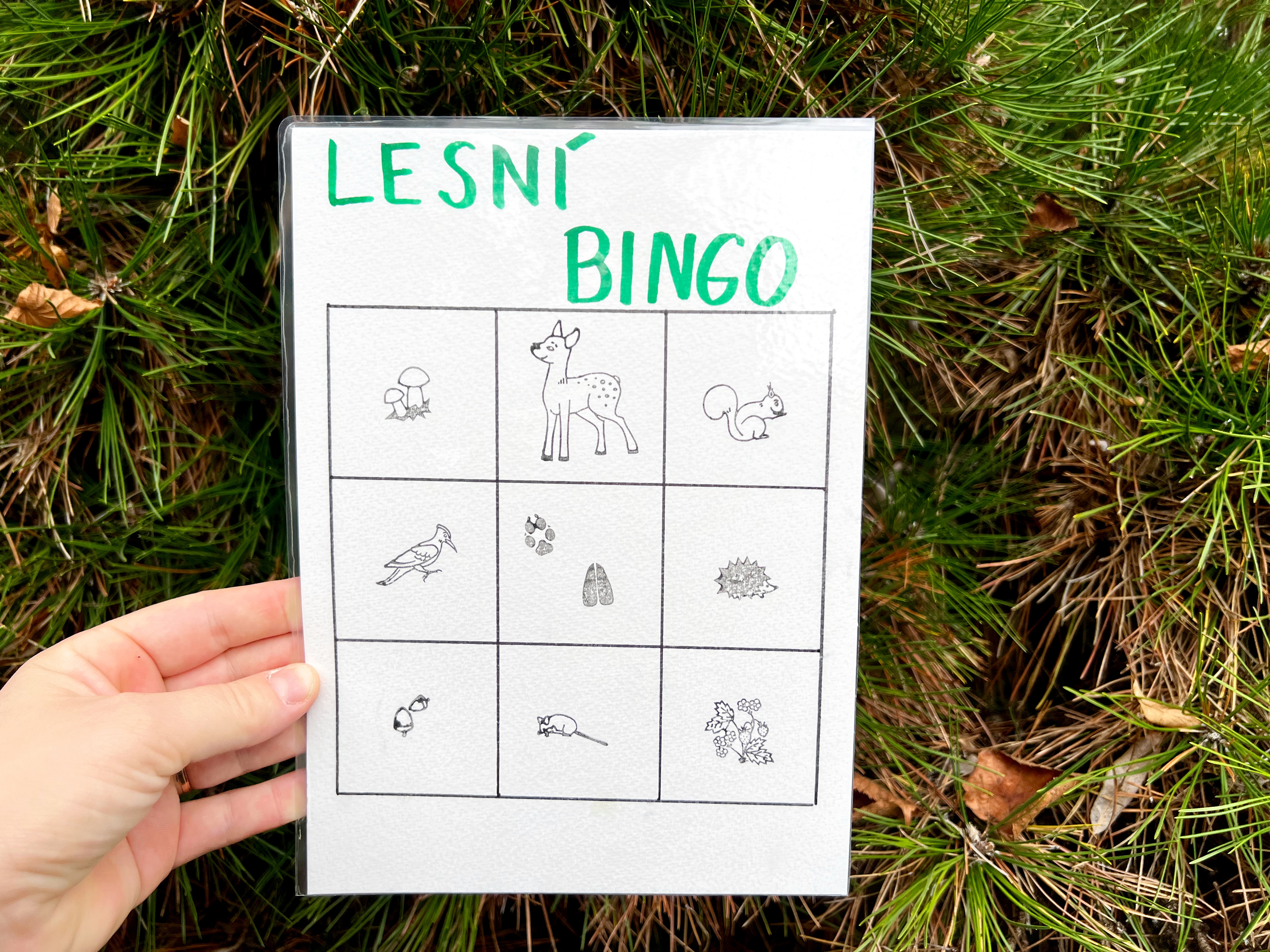 razítka lesní zvířátka