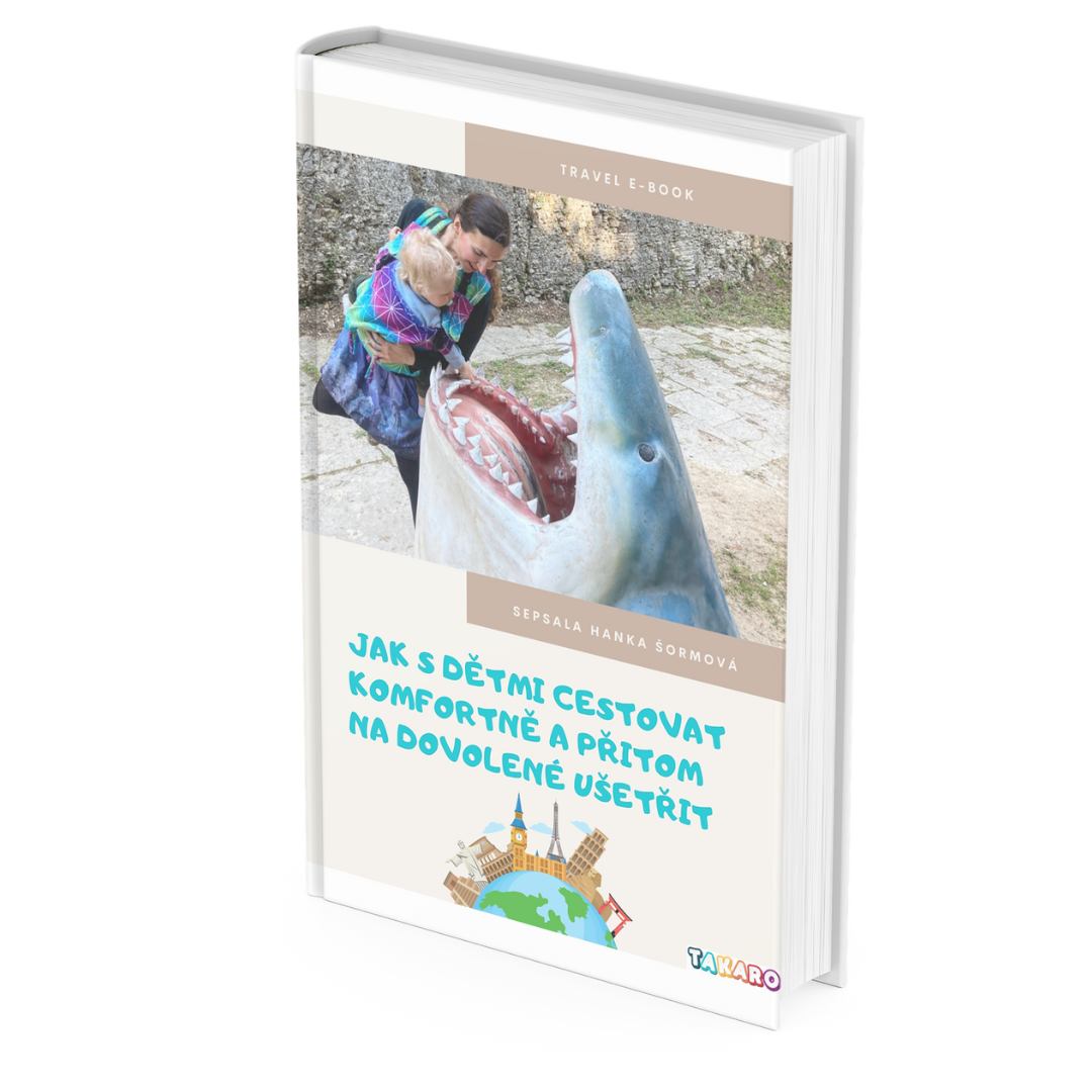e-Book Cestování s dětmi levně a komfortně