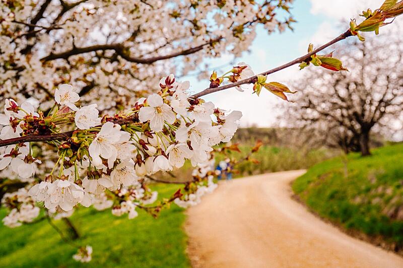 Švýcarsko s&nbsp;dětmi - Chriesiwäg