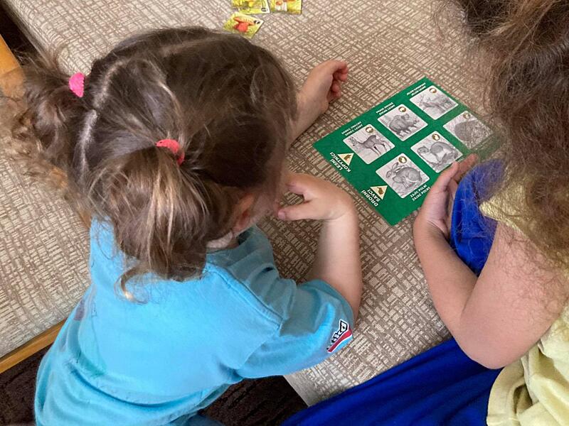 recenze deskovky Multitrio Les