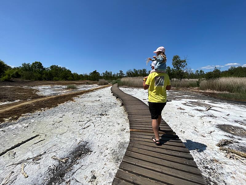 Dovolená s&nbsp;dětmi Aš a&nbsp;okolí - SOOS rašeliniště