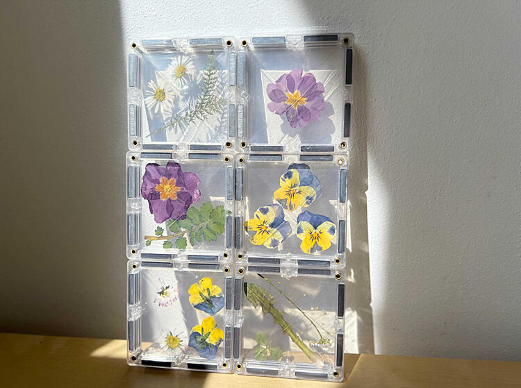 jarní hrátky s&nbsp;magnetickými stavebnicemi - herbář