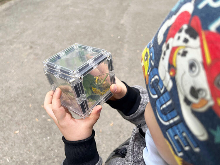 jarní hrátky s&nbsp;magnetickými stavebnicemi - krabička na&nbsp;hmyz