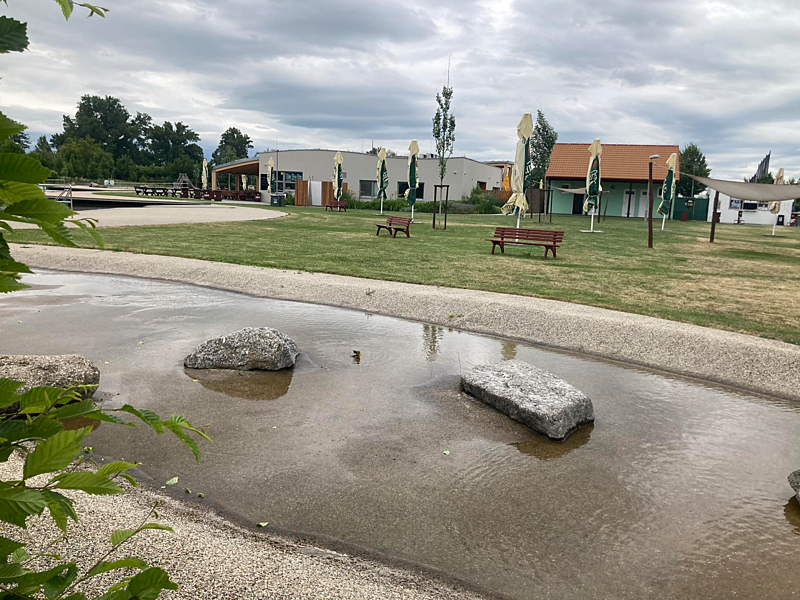 Kam s&nbsp;dětmi v&nbsp;Brně - biotop Brno-Jih