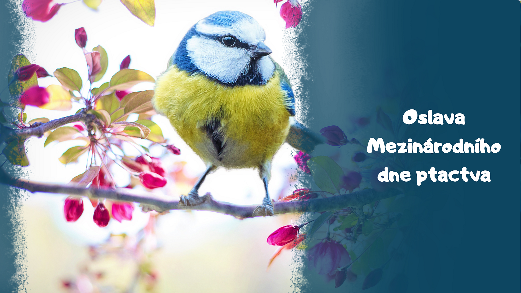 Oslavte s dětmi Mezinárodní den ptactva tematicky procházkou s edukativními hračkami