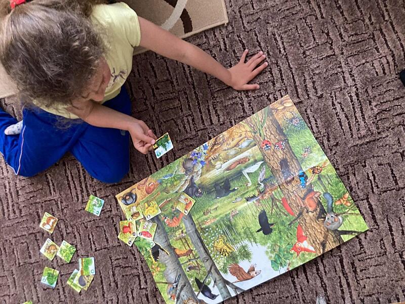 recenze deskovky Multitrio Les