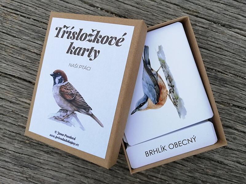Mezinárodní den ptactva - produkt třísložkové karty ptáci