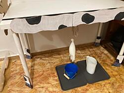 Recenze kroužku senzory play Sensohrátky