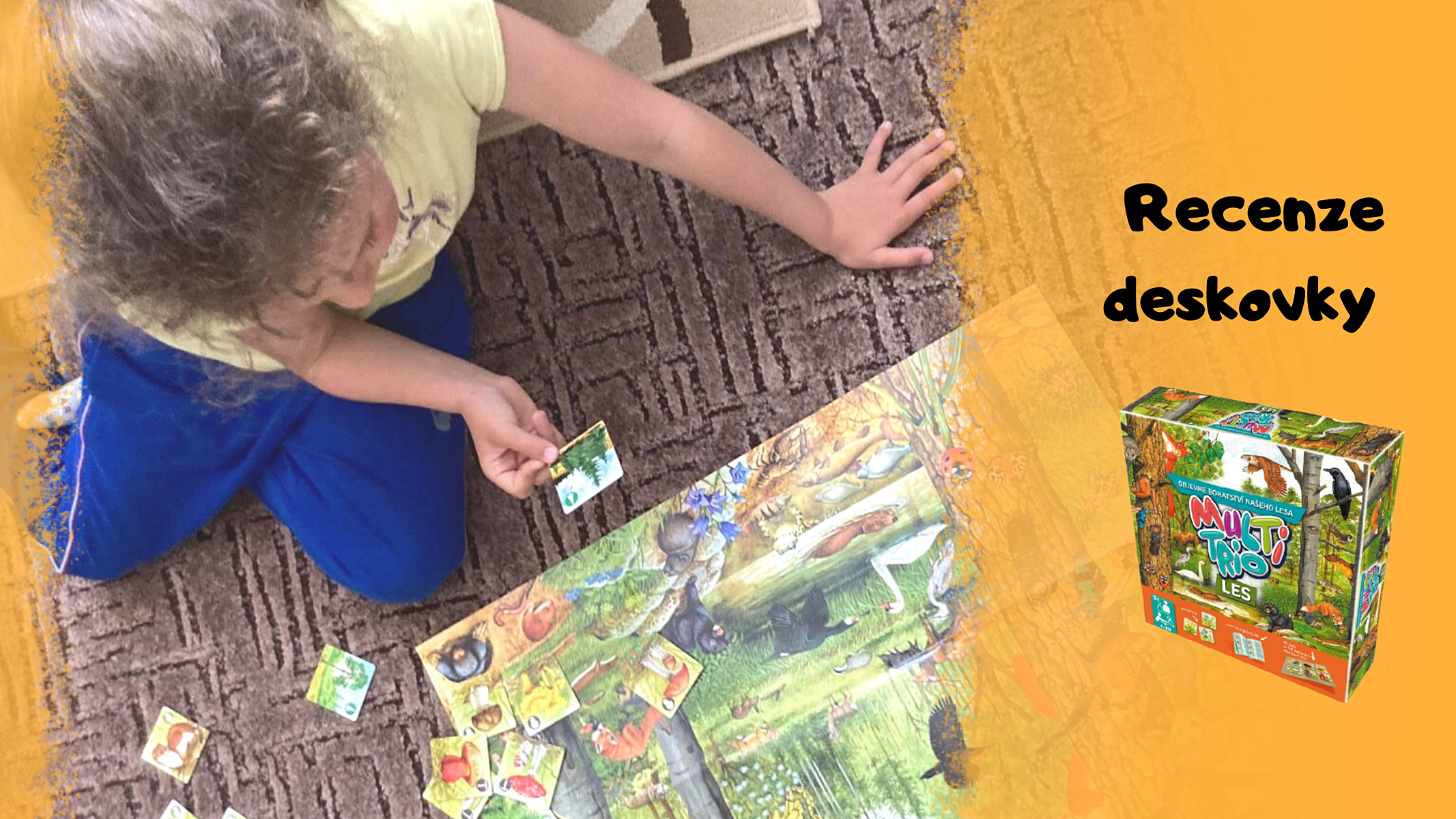 Recenze deskovky MultiTrio Les: Objevte bohatstvích českých lesů