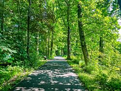 Sušice a&nbsp;okolí - cyklostezka