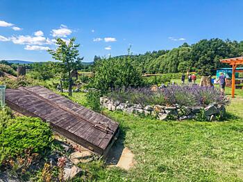 Sušice a&nbsp;okolí - Jedlý park