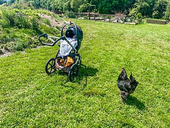 Sušice a&nbsp;okolí - Jedlý park