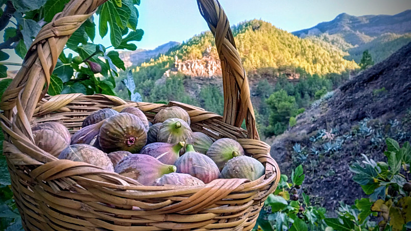 žít s&nbsp;dětmi na&nbsp;cestách