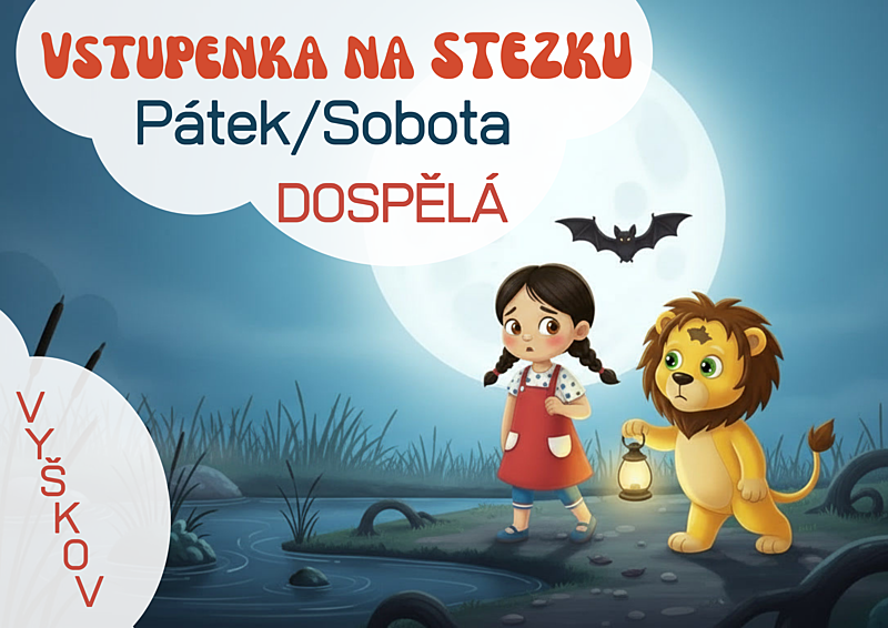 vstupenka_dospela